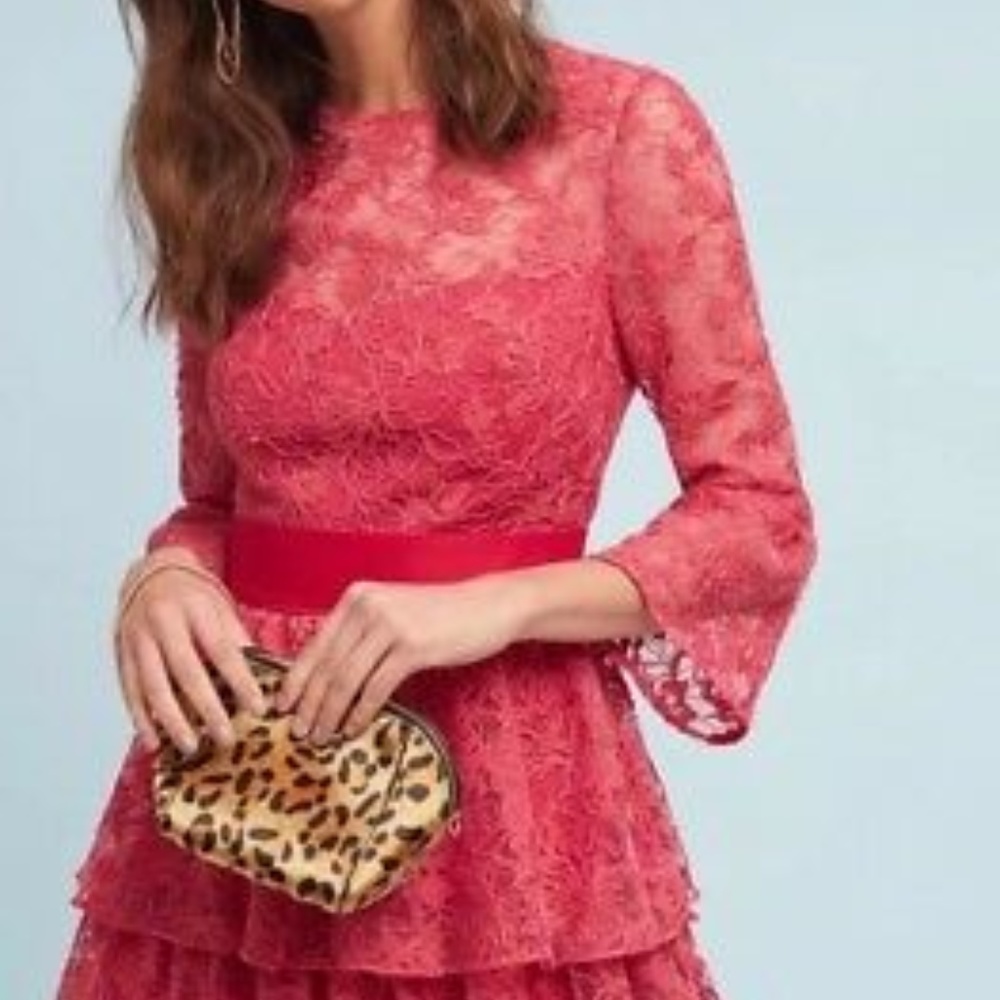 Anthro ML Monique Lhuillier Embellished Rose Dress
